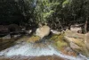 45 Stonewood Road, Diwan, Daintree QLD 4873-Image