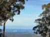 46 Landman Court, Clagiraba QLD 4211-Image