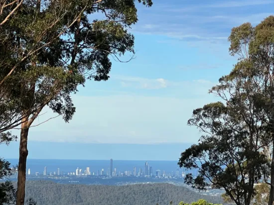 46 Landman Court, Clagiraba QLD 4211-Image