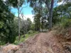 46 Landman Court, Clagiraba QLD 4211-Image