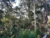 46 Landman Court, Clagiraba QLD 4211-Image