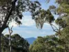 46 Landman Court, Clagiraba QLD 4211-Image