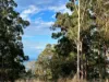 46 Landman Court, Clagiraba QLD 4211-Image
