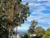46 Landman Court, Clagiraba QLD 4211-Image