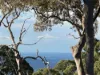 46 Landman Court, Clagiraba QLD 4211-Image