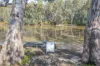 49 Riverview Drive, Barham NSW 2732-Image
