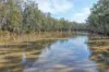49 Riverview Drive, Barham NSW 2732-Image