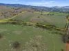513, Balmattum VIC 3666-Image