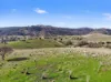 514 Back Sandy Gully Road, Adelong NSW 2729-Image
