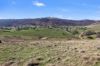 514 Back Sandy Gully Road, Adelong NSW 2729-Image
