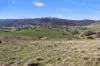 514 Back Sandy Gully Road, Adelong NSW 2729-Image