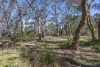 52 Forest Park Road West, Blackheath NSW 2785-Image