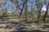 52 Forest Park Road West, Blackheath NSW 2785-Image