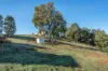 53 Manor Ridge, Bridgetown WA 6255-Image