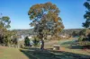 53 Manor Ridge, Bridgetown WA 6255-Image