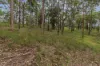574, Blaxlands Ridge NSW 2758-Image