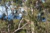 57a Seaspray Drive, Agnes Water QLD 4677-Image