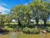 60, Chatsworth NSW 2469-Image