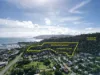 62 Eshelby Drive, Cannonvale QLD 4802-Image