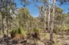 704/Wisteria Way, Chittering WA 6084-Image