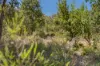 704/Wisteria Way, Chittering WA 6084-Image