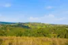 72 Crawford Street, Bridgetown WA 6255-Image