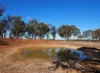 74 Deadhorse Lane, Bowenvale VIC 3465-Image