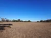 74 Deadhorse Lane, Bowenvale VIC 3465-Image