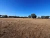 74 Deadhorse Lane, Bowenvale VIC 3465-Image
