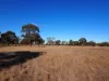 74 Deadhorse Lane, Bowenvale VIC 3465-Image
