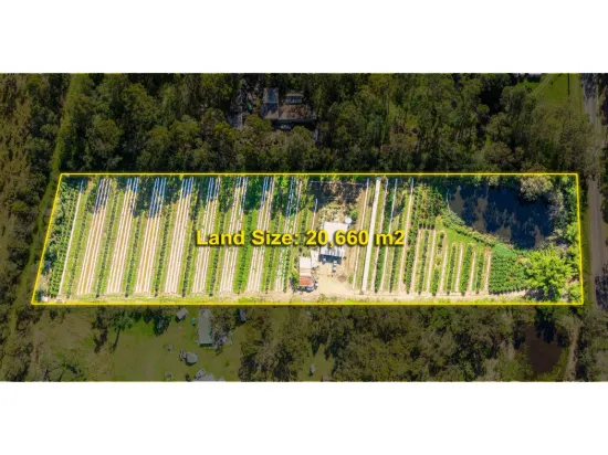 75-81 Wilson Road, Buccan QLD 4207-Image