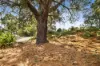 8 Highvista Grove, Ballarat East VIC 3350-Image