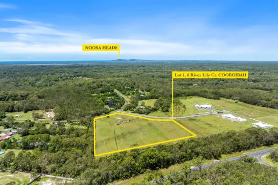 8 River Lily Court, Cooroibah QLD 4565-Image