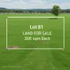 81 Clive Road, ANGUS NSW 2765-Image