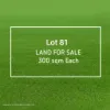 81 Clive Road, ANGUS NSW 2765-Image