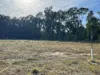 84 Riverview Drive, Barham NSW 2732-Image