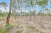 85 Barrs Road, Bucca QLD 4670-Image