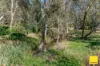 8625 Midland Highway, Barkers Creek VIC 3451-Image
