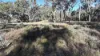 871 Timor Road, Coonabarabran NSW 2357-Image
