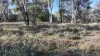 871 Timor Road, Coonabarabran NSW 2357-Image