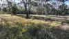 871 Timor Road, Coonabarabran NSW 2357-Image