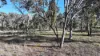 871 Timor Road, Coonabarabran NSW 2357-Image