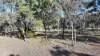 871 Timor Road, Coonabarabran NSW 2357-Image