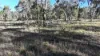 871 Timor Road, Coonabarabran NSW 2357-Image