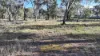 871 Timor Road, Coonabarabran NSW 2357-Image