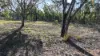 871 Timor Road, Coonabarabran NSW 2357-Image