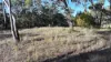 871 Timor Road, Coonabarabran NSW 2357-Image