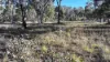 871 Timor Road, Coonabarabran NSW 2357-Image