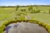 9 Barking Owl Place, Bellmount Forest NSW 2581-Image