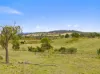 9 Barking Owl Place, Bellmount Forest NSW 2581-Image
